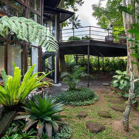 Green Tree House Ubud Exterior foto